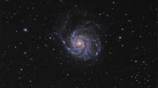 M 101 - die Feuerrad-Galaxie