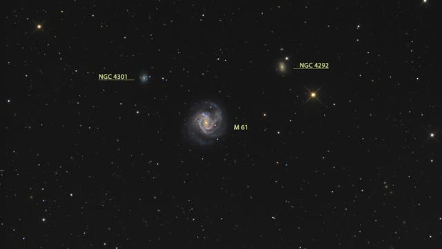 Messier 61 (Objekte)