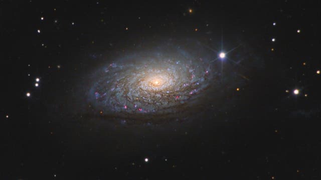 Messier 63 in den Jagdhunden