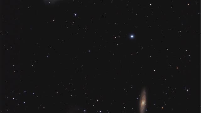Das Leo-Triplett (M 65, M 66 & NGC 3628)