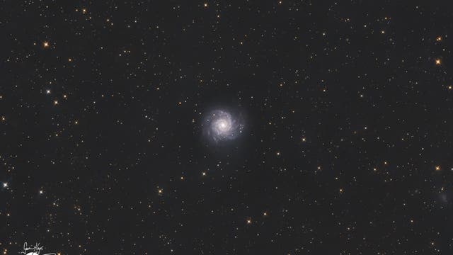 Messier 74, die Phantomgalaxie