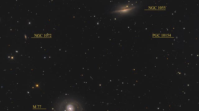 Messier 77 und NGC 1055 (Objekte)