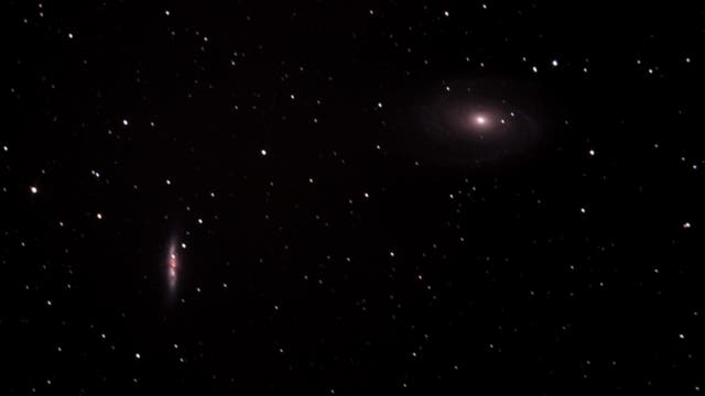 M 81 und M 82 mit SN 2014J
