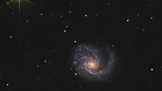 Messier 99 im Haar der Berenike