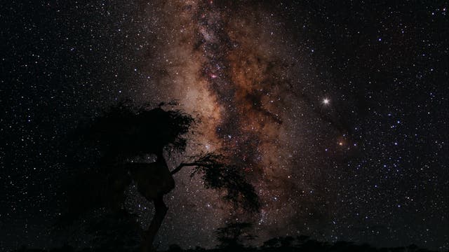 Milchstraßenzentrum über der namibischen Steppe.
