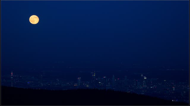 Mond zur blauen Stunde über der Frankfurter Skyline