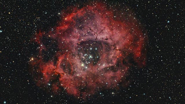 NGC2246 Rosettennebel