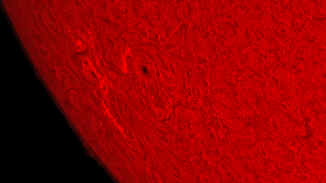 Ein neuer Sonnenfleck im H-Alpha-Licht mit erkennbarem Wilsoneffekt