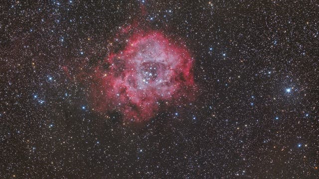 NGC 2244 Rosettennebel