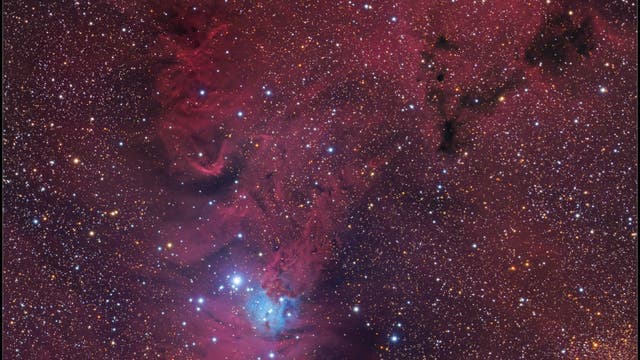 Der Konusnebel NGC 2264