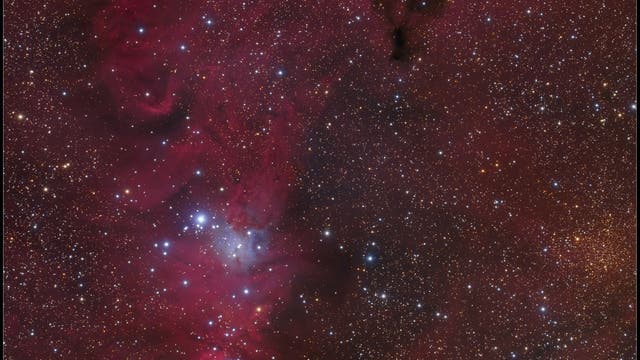 NGC 2264, Der Konusnebel und der Weihnachtsbaum - Sternhaufen