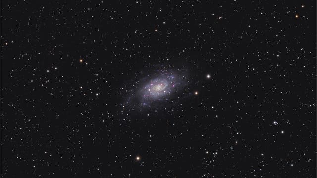 Spiralgalaxie NGC 2403 in der Giraffe