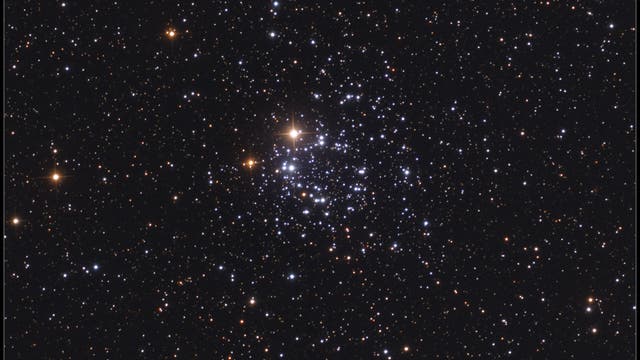NGC 2439 in Puppis