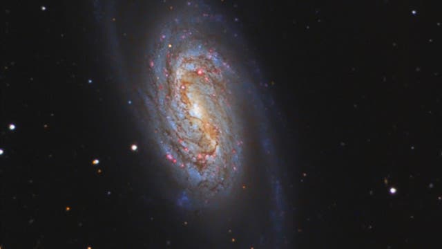 NGC 2903 im Löwen