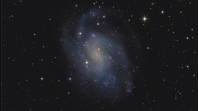NGC 300  Spiralgalaxie im Sternbild Sculptor