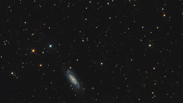 NGC 3198 im Großen Bären