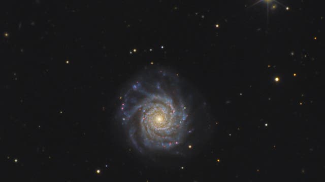 NGC 3938 mit 15-Zoll-Newton