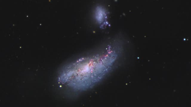 Arp 269 (NGC 4490 und NGC 4485)