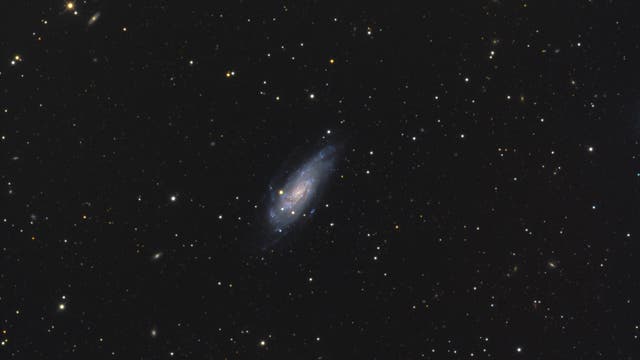 NGC 4559 im Haar der Berenike