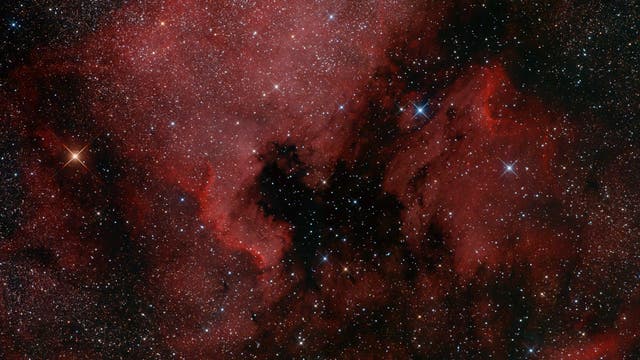 NGC 7000 und Pelikannebel