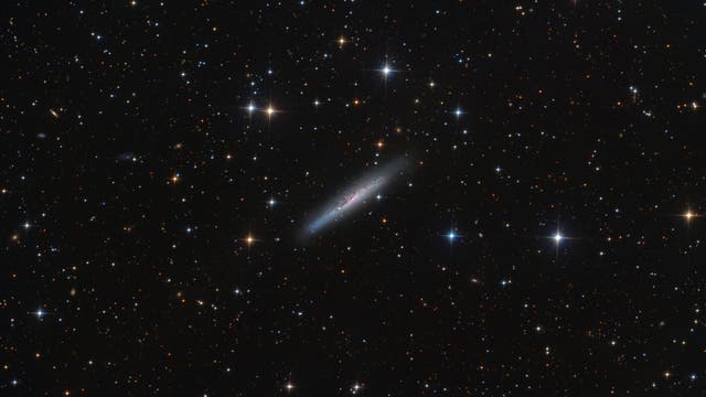 NGC 7090 - eine wunderschöne Galaxie am Südhimmel