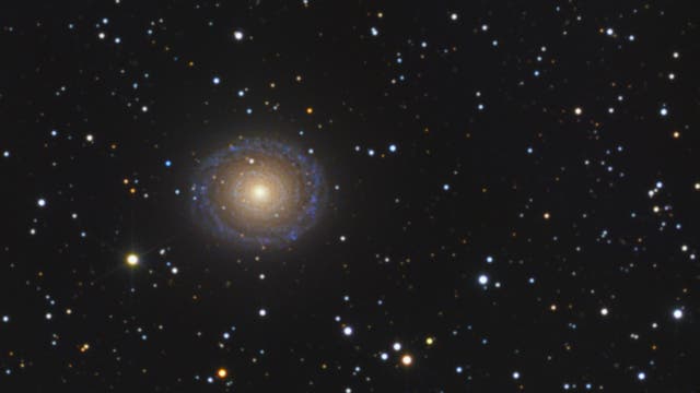 Ringgalaxie NGC 7217