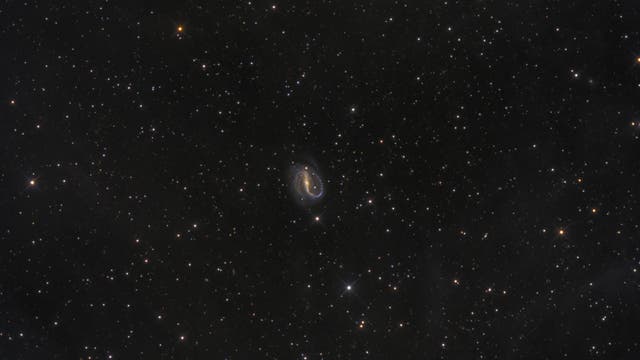 NGC 7479 