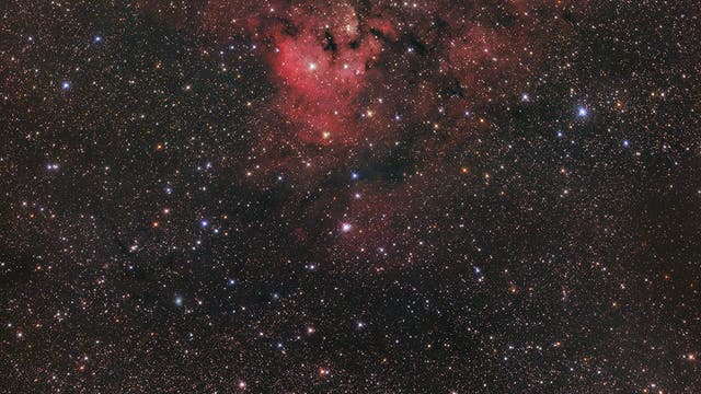 NGC 7822 Zweifach-Mosaik