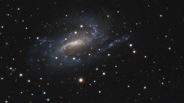 Spiralgalaxie NGC 925
