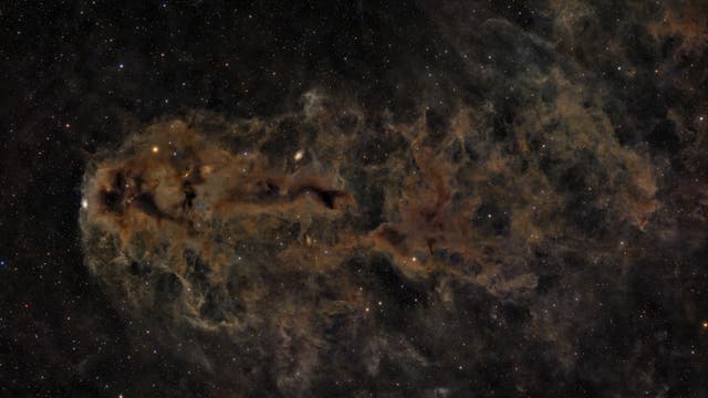 A »Fish« in Cepheus