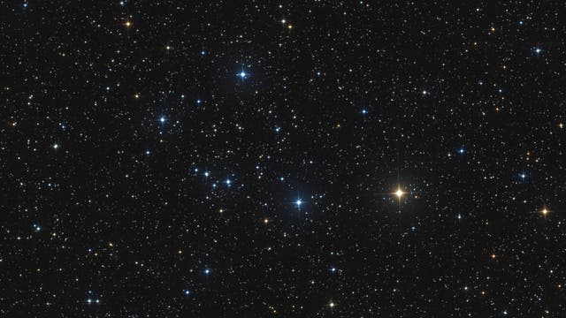 Offener Sternhaufen Alessi 37 im Sternbild Eidechse