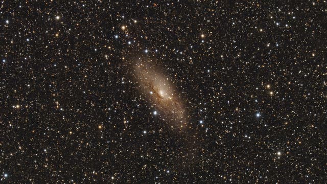 Circinus-Galaxie
