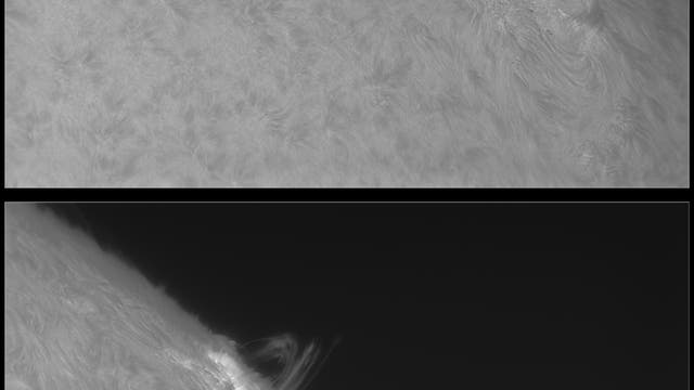 NOAA 12322 und 12329 am Sonnenrand
