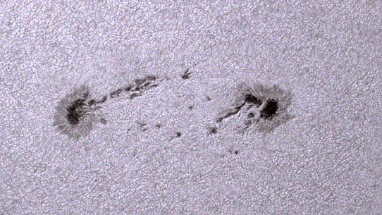 Sonnenfleckengruppe 2644 am 27. März 2017
