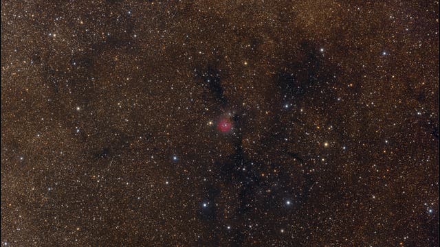 Sh2-82 "Little Trifid / Cocoon Nebula"