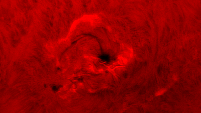 Sonnenfleck 2297 in H-Alpha am 12. März 2015