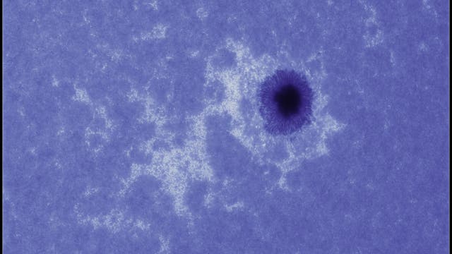 CaK-Aufnahme des großen Sonnenflecks NOAA 12546 (koloriert)