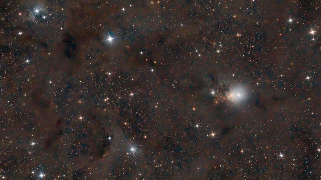 NGC 1333, Embryonebel