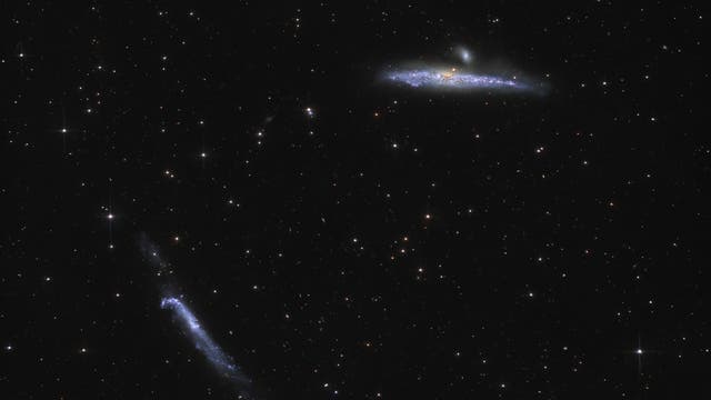 Wal und Brecheisen-Galaxien