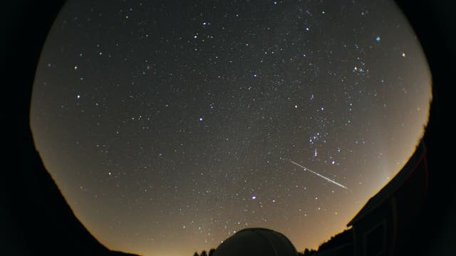 Winterhimmel über Little Palomar Observatory mit Überraschung