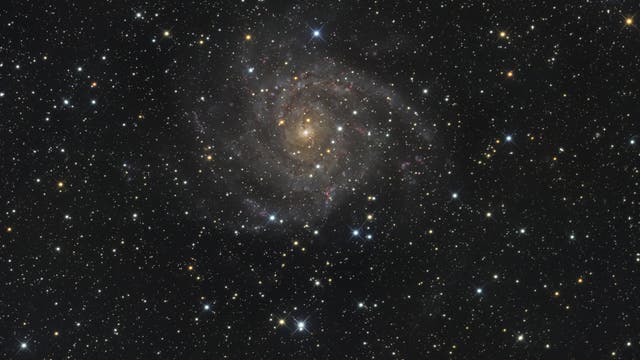 IC 342: Spiralgalaxie im Sternbild Giraffe