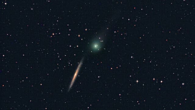 Komet C/2014 Q2 Lovejoy begegnet NGC 5907