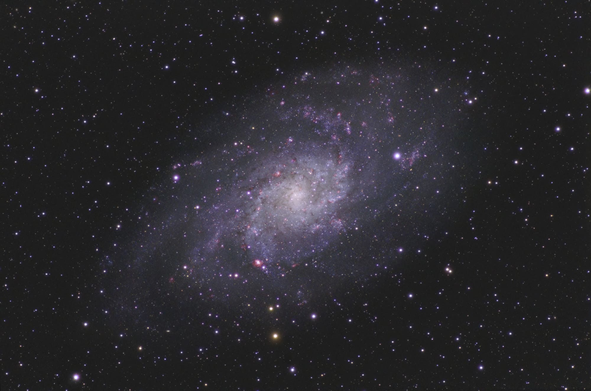 Triangulum Galaxie M33