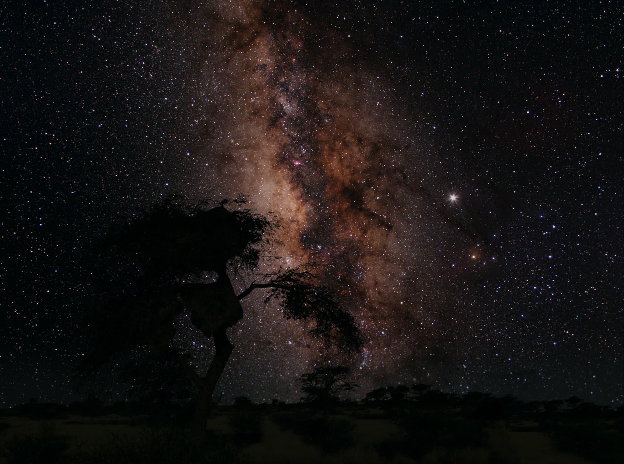 Milchstraßenzentrum über der namibischen Steppe.