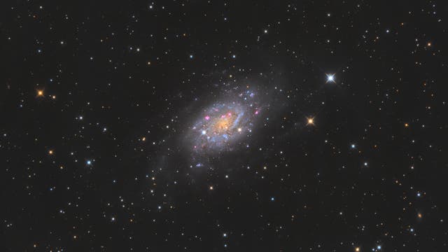 NGC2403 Spiral Galaxy