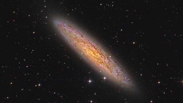 NGC 253 – eine der hellsten Galaxien am Himmel