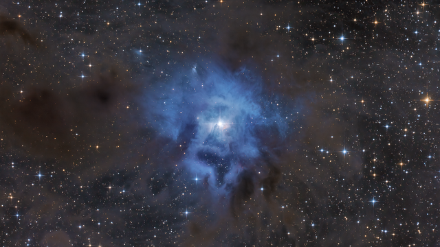 NGC 7023 - Der Irisnebel
