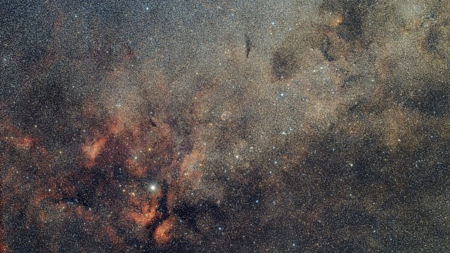 Widefield im Schwan Widefield im Schwan