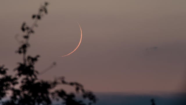 Mondsichel 37h nach Neumond (Blackmoon) Mondsichel 37h nach Neumond (Blackmoon)