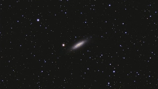 NGC 6503 NGC 6503